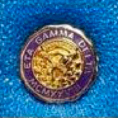 Pin Escudo
